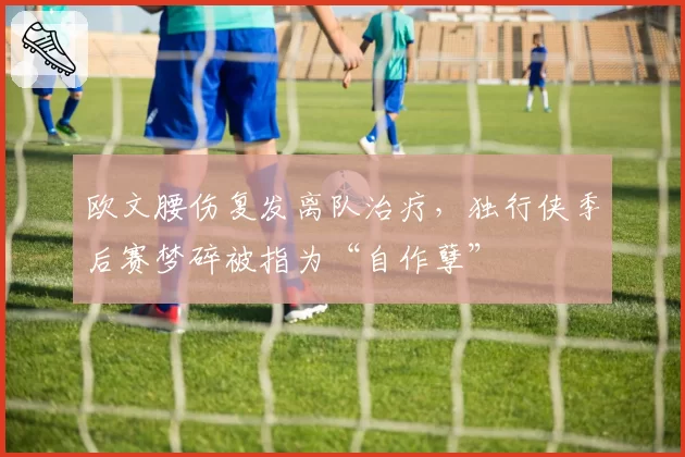 欧文腰伤复发离队治疗，独行侠季后赛梦碎被指为“自作孽”