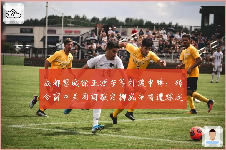 成都蓉城徐正源苦等外援中锋，转会窗口关闭前敲定挪威老将遭球迷怒批